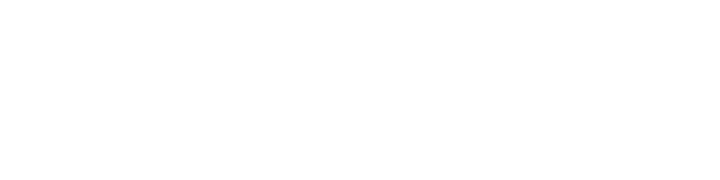 T RMOB Luca E Belge Portal 